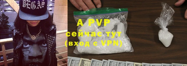 гашик Алексеевка
