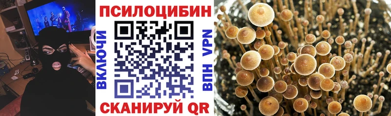 Псилоцибиновые грибы GOLDEN TEACHER  blacksprut зеркало  Алексеевка 