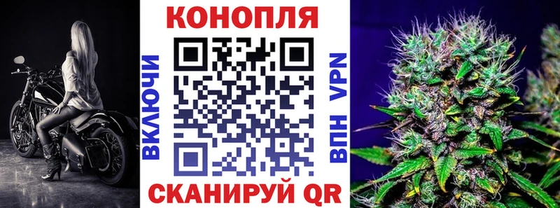 Конопля гибрид  darknet Telegram  Алексеевка 